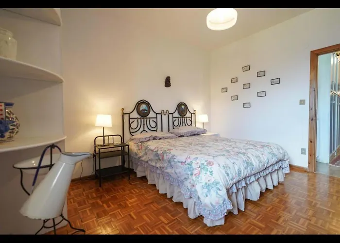 By Fh 利维松多里